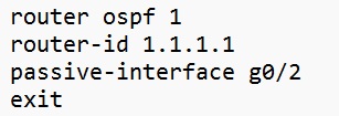 R1 bare-bones OSPFv2 and OSPFv3 general configuration