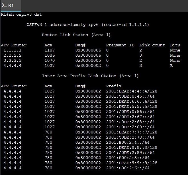 R1 show ospfv3 database output